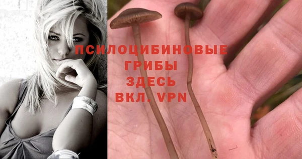 дурь Абдулино