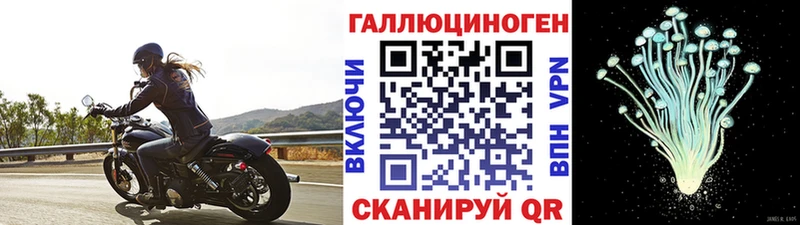 Галлюциногенные грибы GOLDEN TEACHER  ОМГ ОМГ   Фрязино 